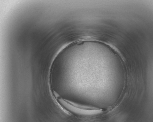 X0000066941333200604142014