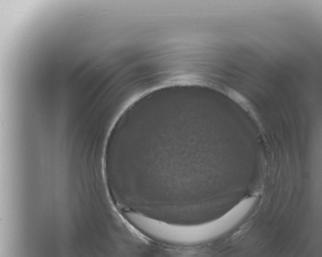 X0000066941334200604142014