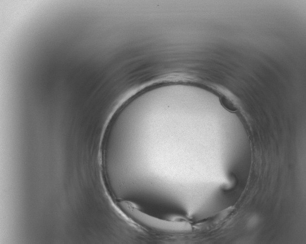 X0000066941335200604142014