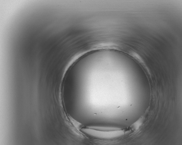 X0000066941336200604142014