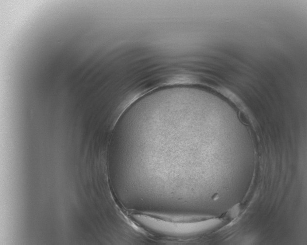 X0000066941337200604142014