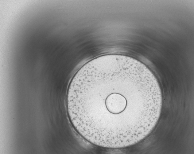 X0000066941338200604142014