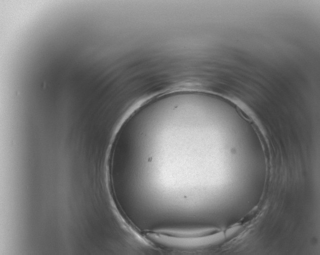 X0000066941341200604142014