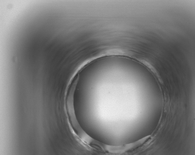 X0000066941342200604142014