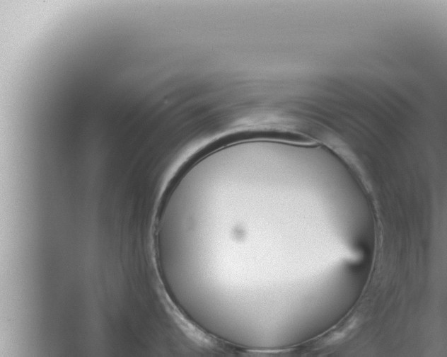 X0000066941344200604142014