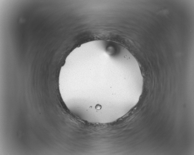 X0000066941345200604142013