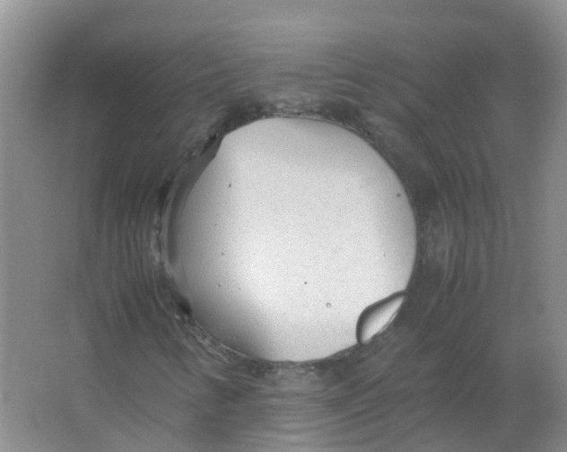 X0000066941346200604142013