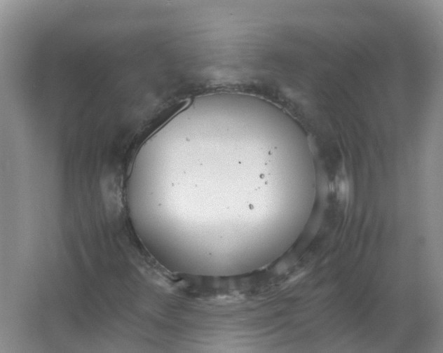 X0000066941348200604142013