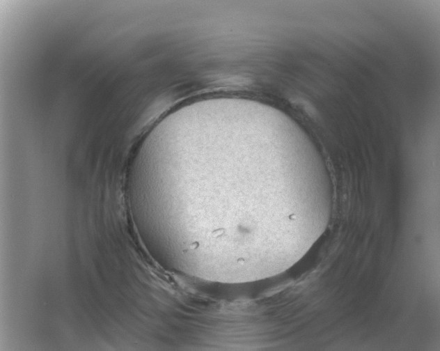 X0000066941354200604142013