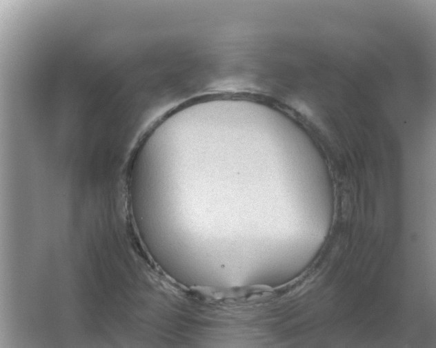 X0000066941358200604142013