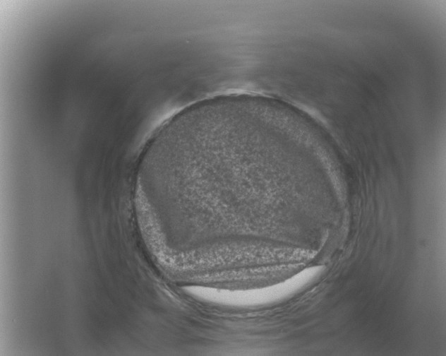 X0000066941359200604142013