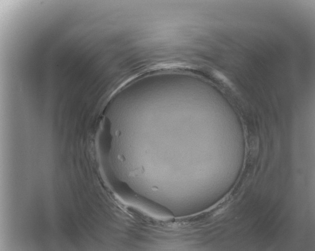 X0000066941361200604142013