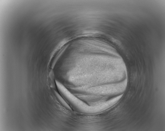 X0000066941362200604142013