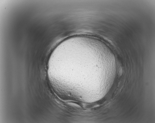 X0000066941363200604142013