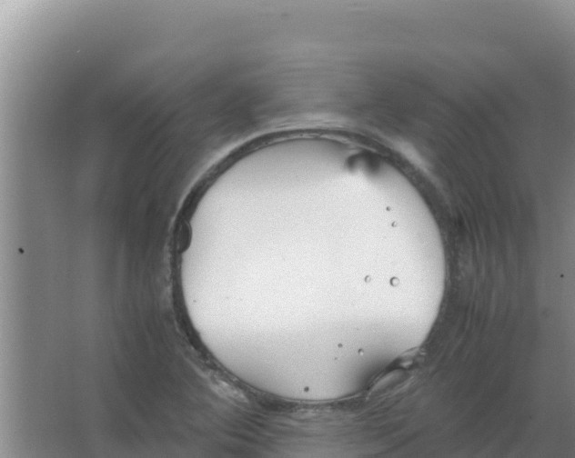 X0000066941364200604142013