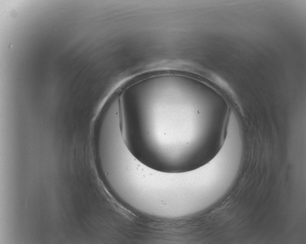 X0000066941368200604142013