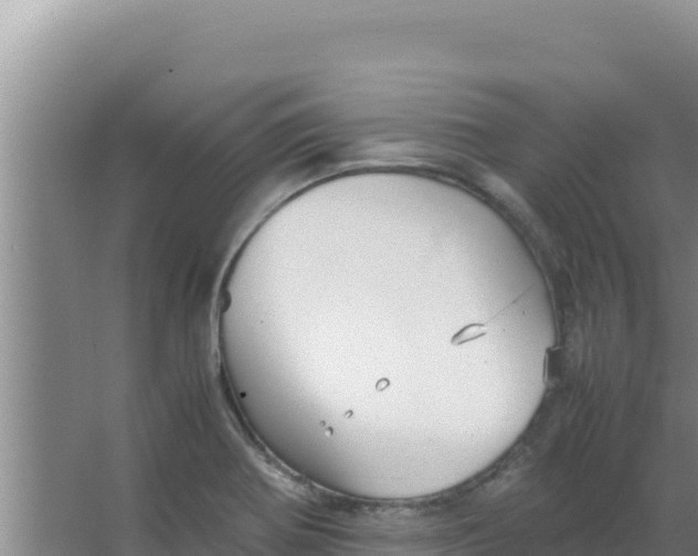 X0000066941370200604142012