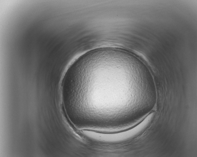 X0000066941371200604142012