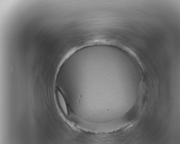 X0000066941373200604142012