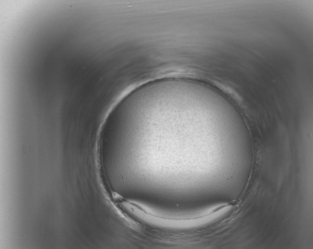 X0000066941375200604142012