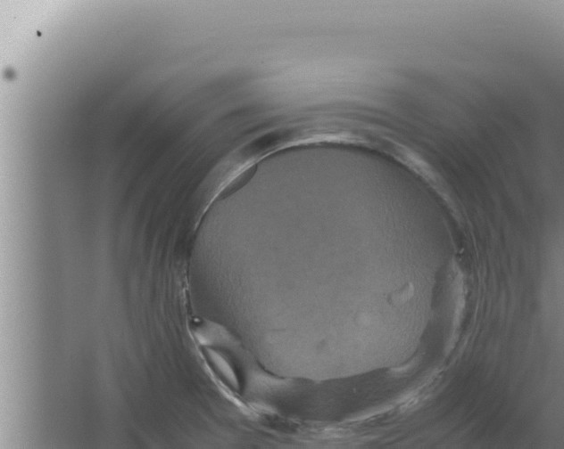 X0000066941377200604142012