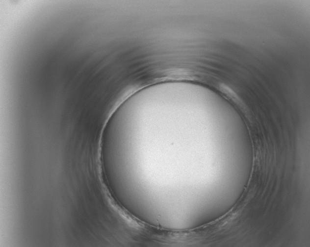 X0000066941378200604142012