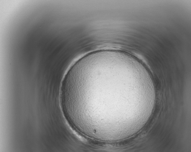 X0000066941379200604142012