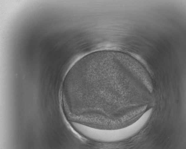 X0000066941383200604142012