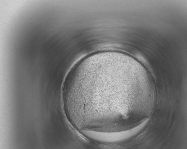 X0000066941384200604142012