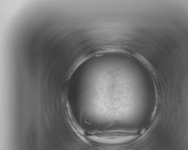 X0000066941385200604142012