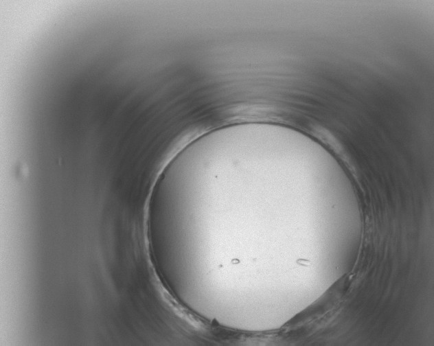 X0000066941386200604142012