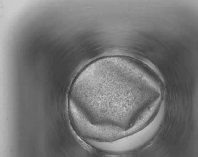 X0000066941388200604142012