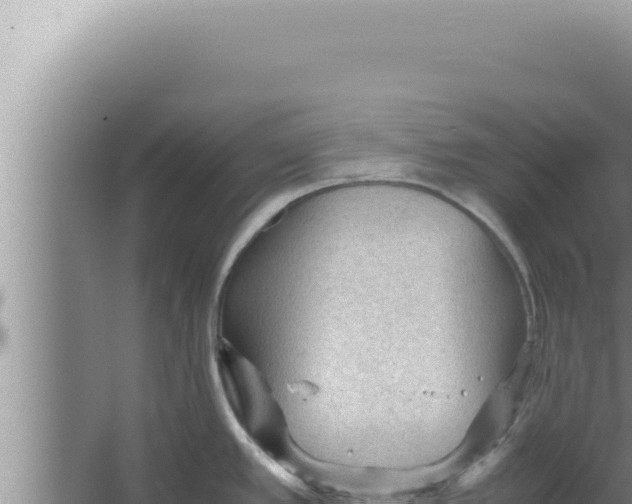 X0000066941389200604142012