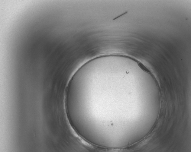 X0000066941390200604142012