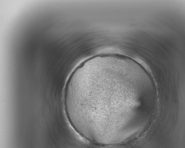 X0000066941392200604142012