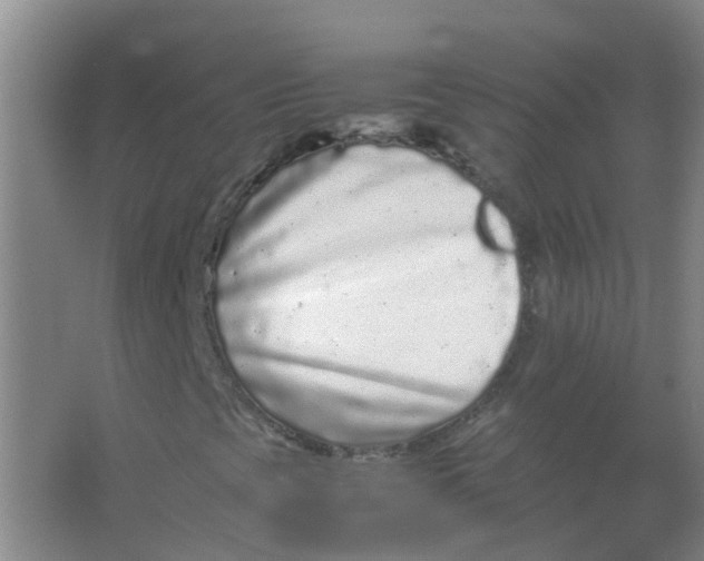 X0000066941393200604142011