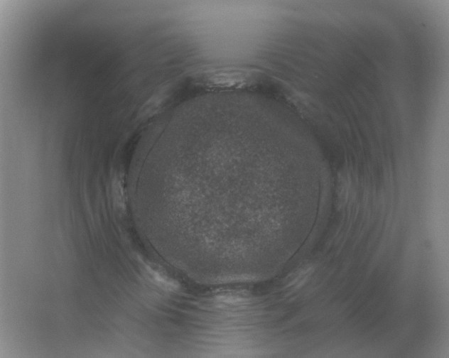 X0000066941394200604142011