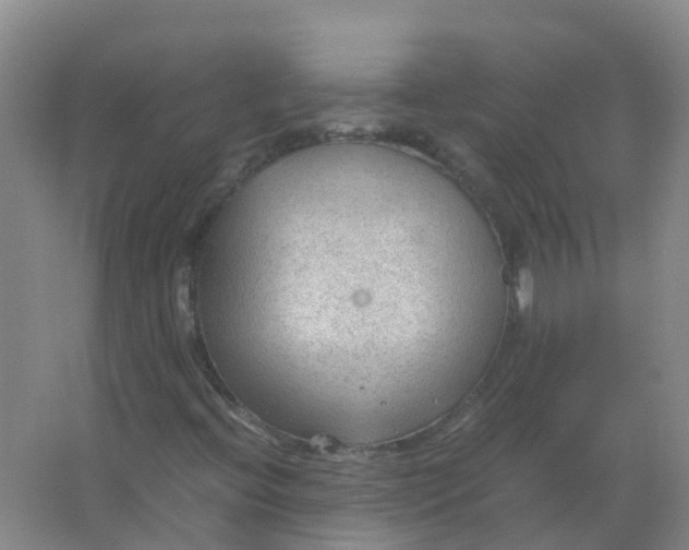 X0000066941396200604142011