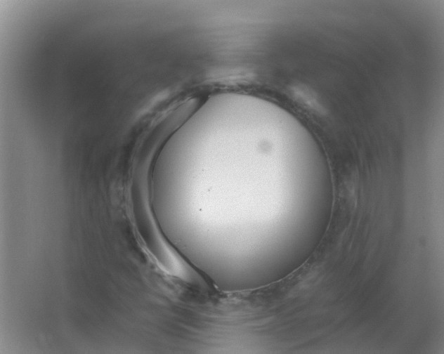 X0000066941398200604142011