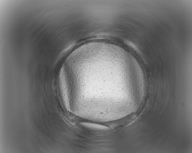 X0000066941403200604142011