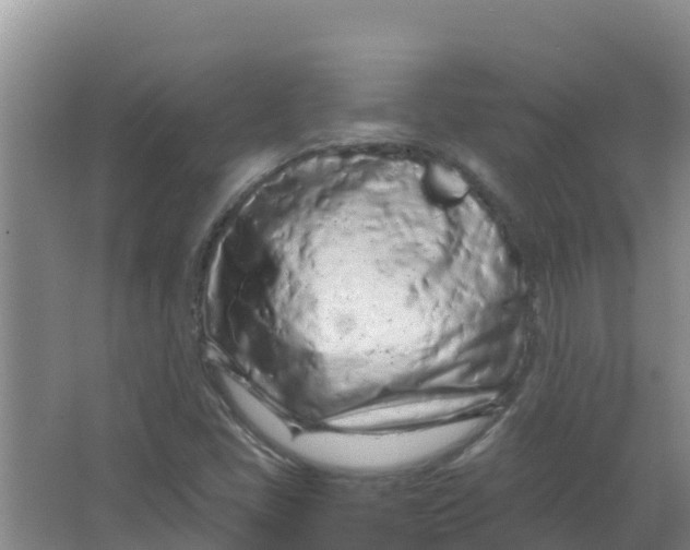 X0000066941405200604142012