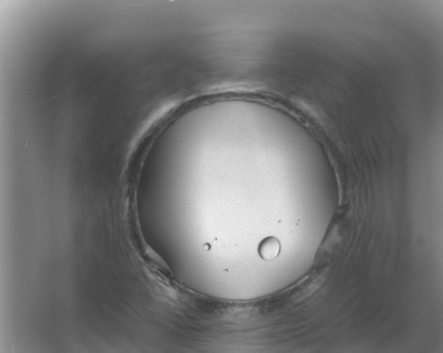 X0000066941406200604142012