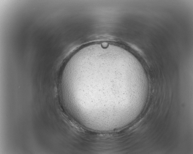 X0000066941407200604142012