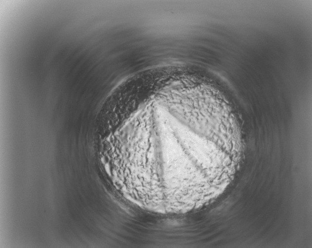 X0000066941409200604142012