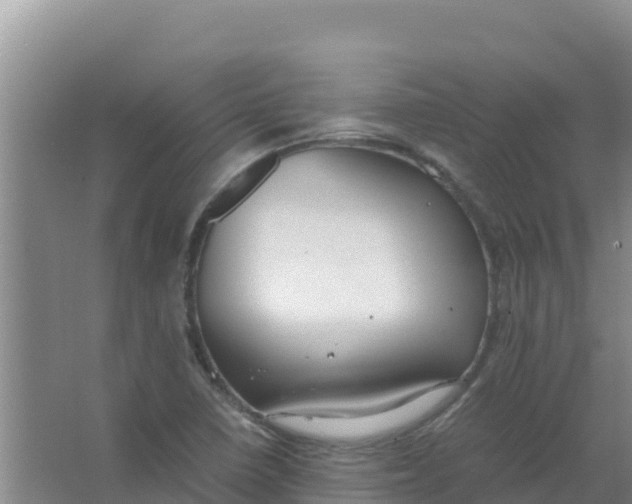 X0000066941410200604142012