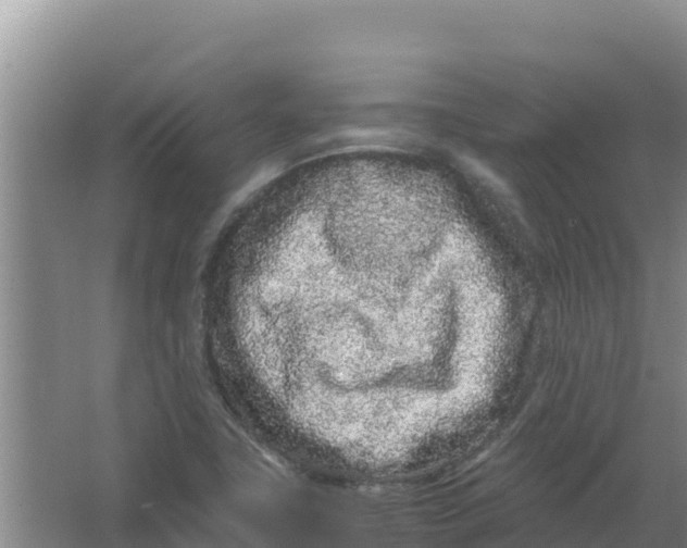 X0000066941411200604142012