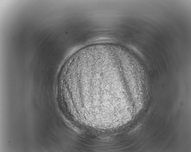 X0000066941413200604142012