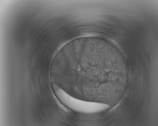 X0000066941417200604142012