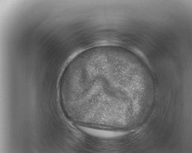 X0000066941419200604142012