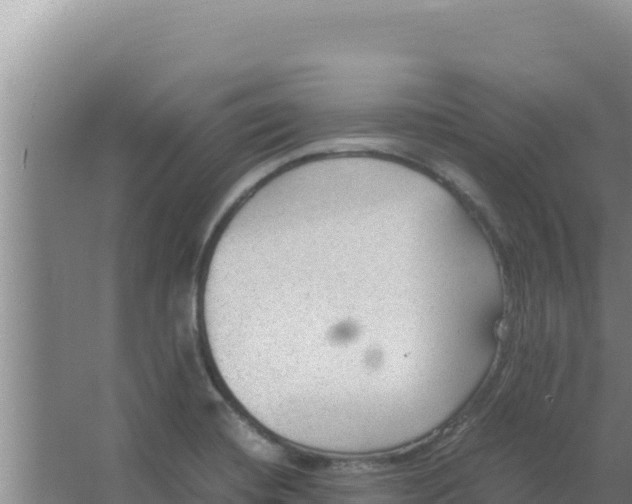 X0000066941420200604142012